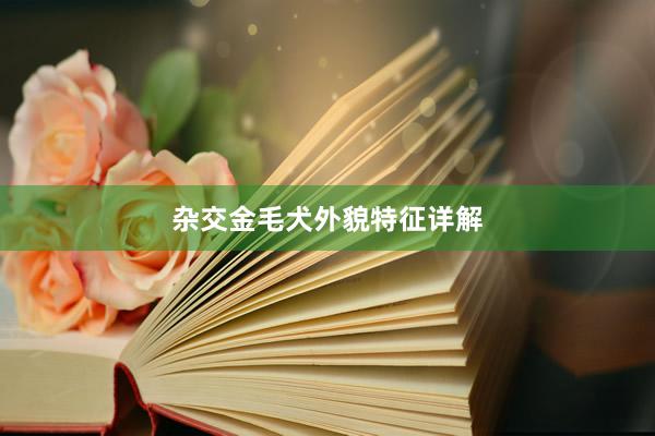 杂交金毛犬外貌特征详解